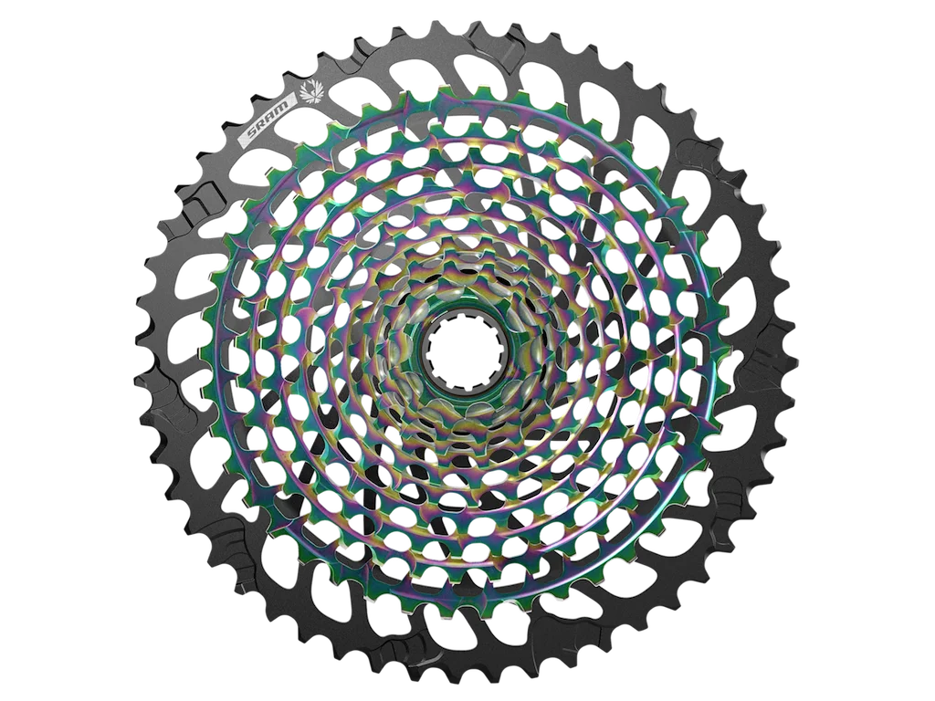 2026_07_01_1205118